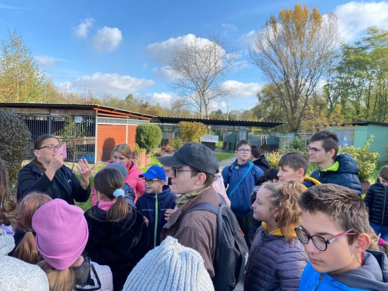 Zajęcia edukacyjne i&nbsp;wycieczka do&nbsp;Schroniska dla Zwierząt „Fauna”