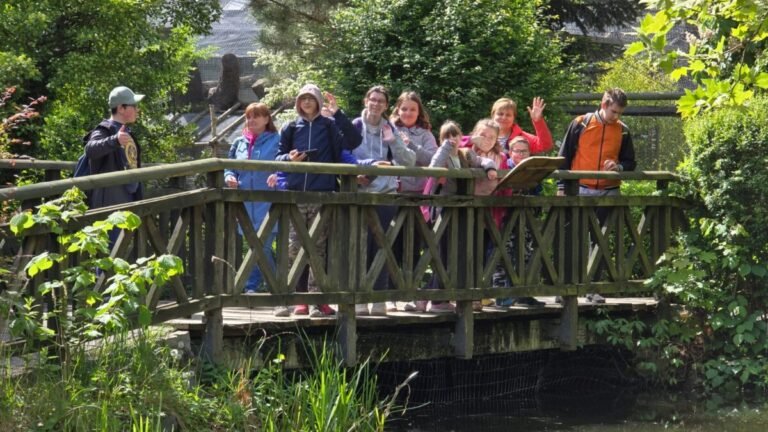 Szkolna wycieczka – bliskie spotkania z&nbsp;dziką przyrodą