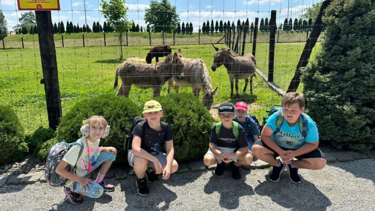 Wycieczka do&nbsp;Parku Przygód „Alele” w&nbsp;Wilkowicach