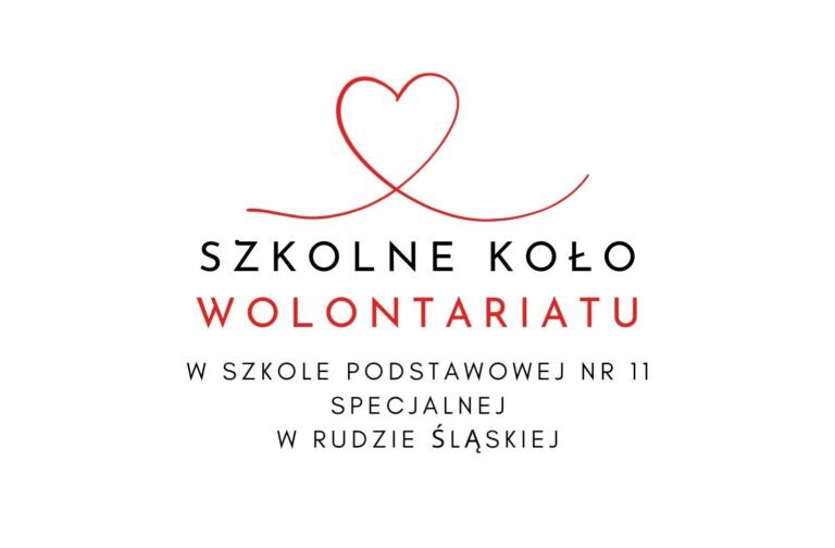 Szkolne Koło Wolontariatu – Niesiemy dobro tam, gdzie jest potrzebne